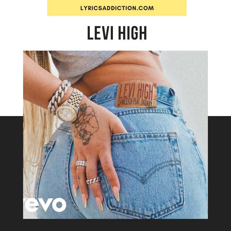 DANILEIGH - LEVI HIGH LYRICS