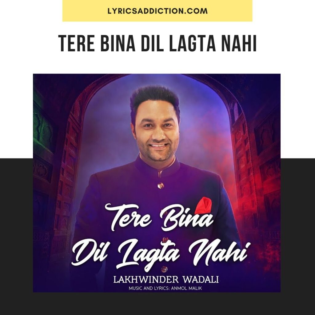 TERE BINA DIL LAGTA NAHI LYRICS